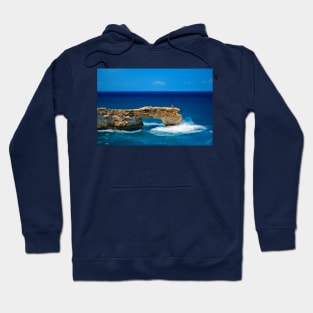 Photographing on the edge Hoodie